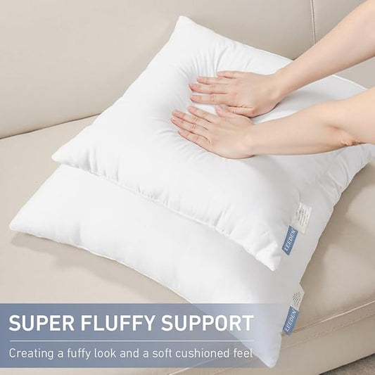 Leeden 22x22 Pillow Inserts, 22 Inch Decorative Throw Pillow Inserts, Soft Fluffy Square Throw Pillows for Couch, Sofa, Bed, and Home Decor White Cushion Pack of 2