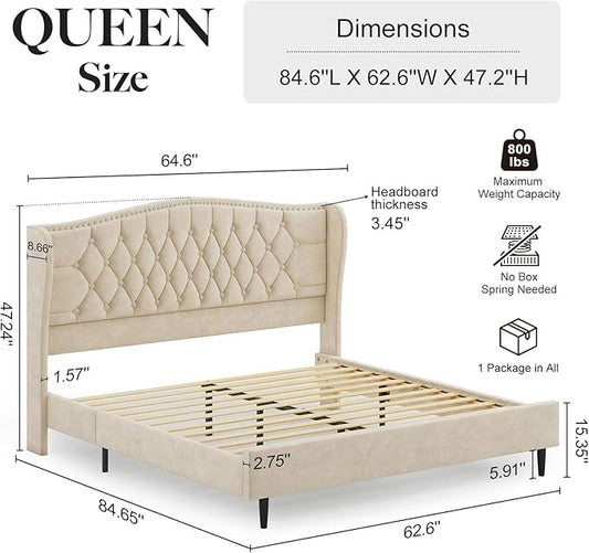 Belffin Queen Bed Frame with Headboard, Luxury Upholstered Velvet Platform Bed with Wingback, Button Tufted & Nailhead Trim, Anti-Slide Tall Footboard, No Box Spring Needed, Noise-Free, Beige