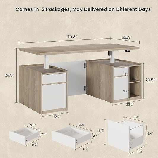 Executive Standing Desk with Drawers & Storage, 71'' Adjustable Electric Stand Up Wood Desk with Privacy Panel, AC/USB, File Cabinet, Large One-Piece Destop for Home Office, Light Walnut