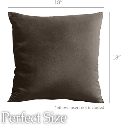 lalaLOOM Velvet Throw Pillow Covers, Set of 2, 18x18 Decorative Square Pillows Home Decor, Soft Accent Cases, Silky Machine Washable Pillowcases for Sofa, Couch, Bedroom, Living Room, Brown
