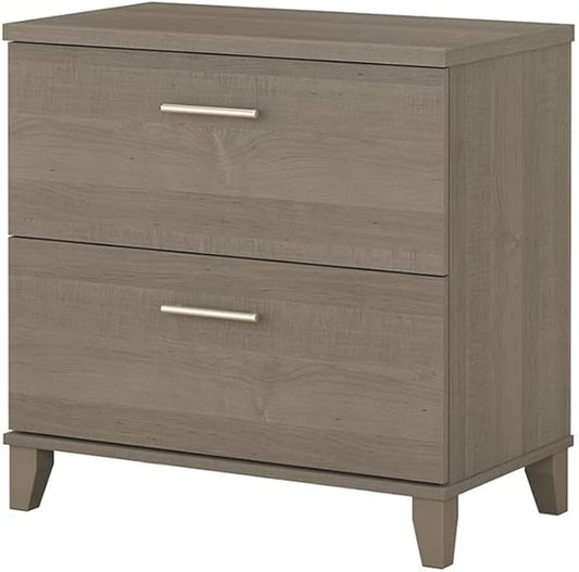 Pemberly Row Contemporary 2 Drawer File Cabinet in Ash Gray Finish