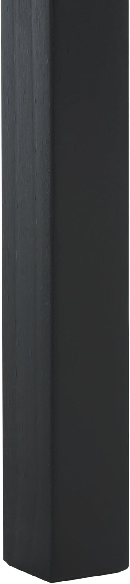 SAFAVIEH Home Collection Darlyn Matte Black 1-Drawer Rectangle Accent Table