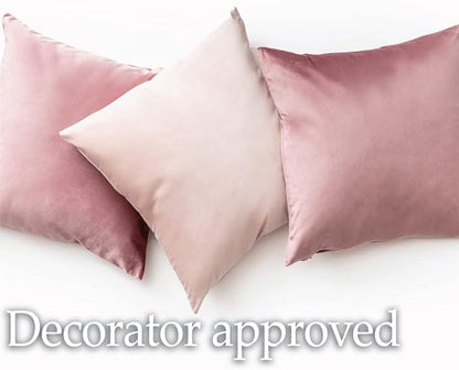 lalaLOOM Velvet Throw Pillow Covers, Set of 2, 20x20 Decorative Square Pillows Home Decor, Soft Accent Cases, Silky Machine Washable Pillowcases for Sofa, Couch, Bedroom, Living Room, Hunter Green