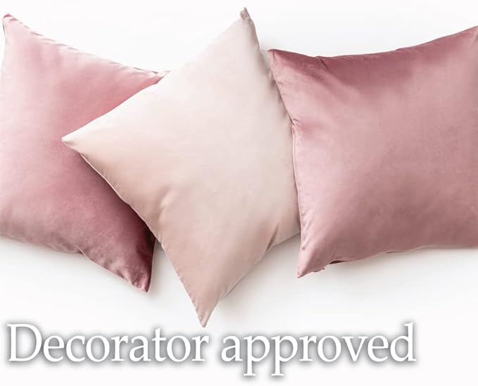 lalaLOOM Velvet Throw Pillow Covers, Set of 2 Decorative Square Pillows Home Decor, Soft Accent Cases, Silky Machine Washable Pillowcases for Sofa, Couch, Bedroom, Living Room, 16x16, Light Blue