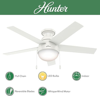 Hunter Fan 46 inch Contemporary Ceiling Fan with Light in Premier Bronze (Renewed) (Fresh White)