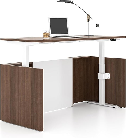 Adjustable Height Executive Standing Desk - Dual Motor Electric Sit-Stand Workstation with 4 Memory Handsetctric Sit-Stand Desk with Lockable Storage