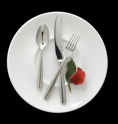 Fortessa Lucca 18/10 Stainless Steel Flatware Solid Handle Table Knife, Set of 12, Silver