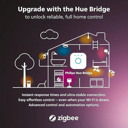 Philips Hue Indoor/Outdoor 65-Foot Festavia String Lights - 250 Mini Color Changing Smart LEDs - Weatherproof - Control with Hue App - Works with Alexa, Google Assistant and Apple HomeKit