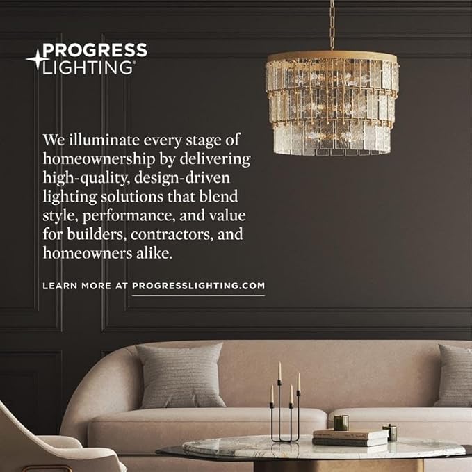 Progress Lighting 5-Inch Cylinder Outdoor Ceiling Light, 1-Light Modern Flush Mount Ceiling Light Fixture, Interior and Exterior Lighting for Home or Porch, Aluminum Construction, Black (P5774-31)