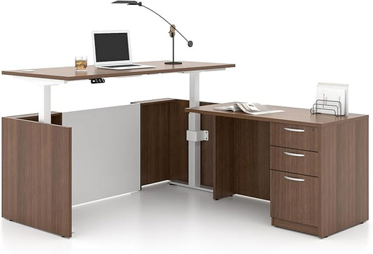Adjustable Height Executive Standing Desk | Dual Motor Electric Sit-Stand Workstation with 4 Memory Handsetctric Sit-Stand Desk with Lockable Storage (1, L-Shape)