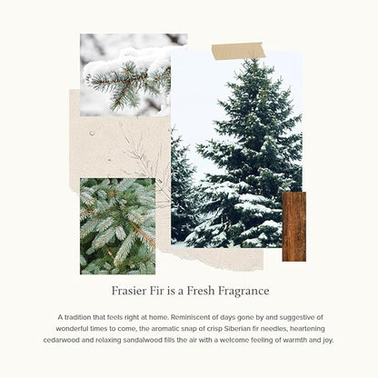 Thymes Frasier Fir Candle – Pine Needle Design – Holiday Scented Candle – Notes of Crisp Siberian Fir, Cedarwood & Sandalwood – Luxury Home Fragrance Gifts for Women & Men – Gold (Gilded, 13 oz)