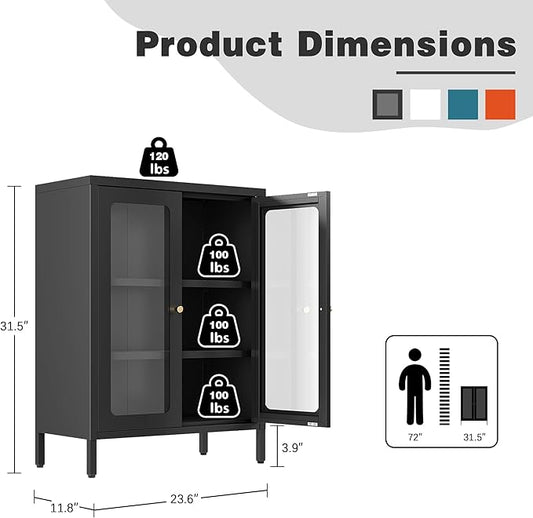 Small Display Cabinet with Glass Doors, 12" Shallow Metal Storage Cabinets Short Bookcase Cabinet with Two Door Two Shelves Metal Glass cabinets for Home Office Living Room