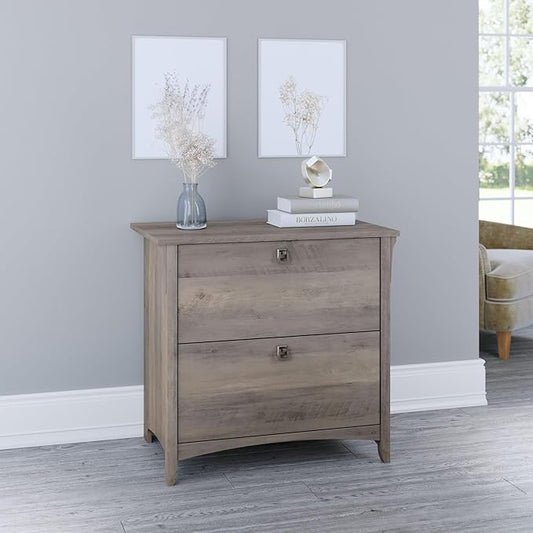 Bush Furniture Salinas 2 Drawer Lateral File Cabinet in Driftwood Gray, Home Office Storage Solution, Organizer with Drawers for Workspace, Filing Unit