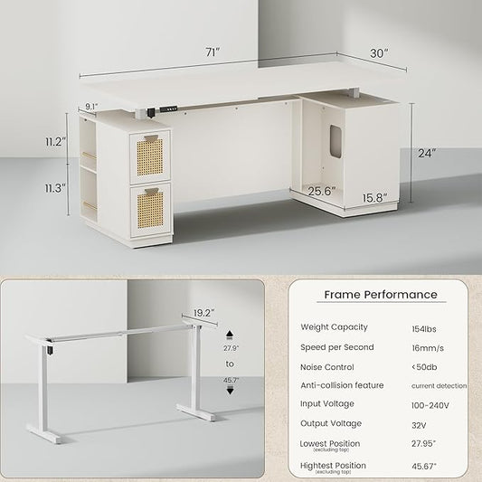71" Executive Desk with Storage & Privacy Panel, Electric Adjustable Height Standing Desk for Home Office, 1.18" Desktop, Built-in Charging Station,White Rattan