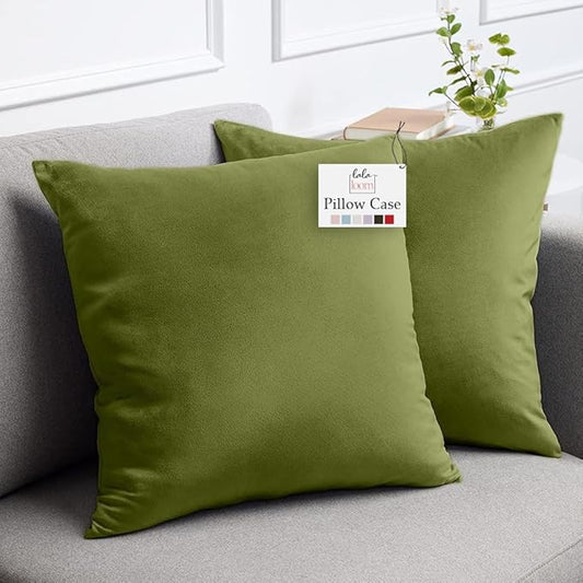 lalaLOOM Velvet Throw Pillow Covers, Set of 2, 24x24 Decorative Square Pillows Home Decor, Soft Accent Cases, Silky Machine Washable Pillowcases for Sofa, Couch, Bedroom, Living Room, Moss Green