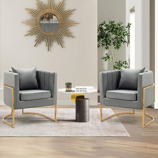Velvet Modern Accent Chairs Set of 2, Upholstered Barrel Armchair Mid Century with Pillow for Living Room, Comfy Single Vanity Chair with Metal Gold Legs for Bedroom, Grey