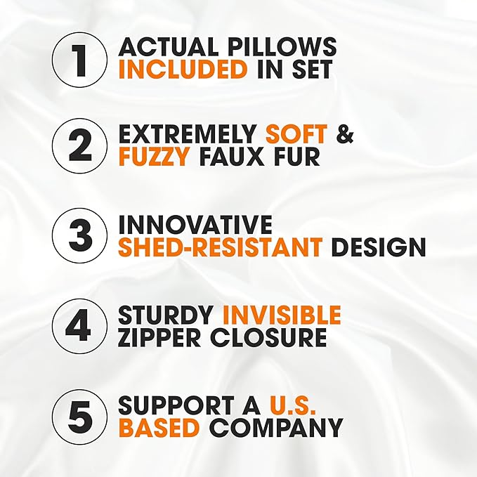 Cheer Collection Faux Fur Throw Pillows - Decorative Pillows for Couch, Bed Throw Pillows, Black Accent Pillows for Bedroom or Living Room Aesthetic, Set of 2 Furry Throw Pillows, 22" x 22"