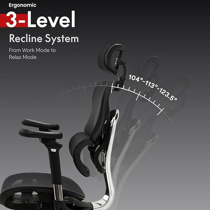 FLEXISPOT ErgoX Max Ergonomic Office Chair Black - Aluminum Alloy Frame & Base, 661 lb Capacity, 5D Armrests, 4D Adaptive Lumbar & 4D Headrest