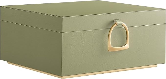 SONGMICS 2-Layer Jewelry Box, Jewelry Organizer with Handle, Removable Jewelry Tray, Jewelry Storage, Floating Effect, 8.1 x 9.4 x 4.3 Inches, Christmas Gift, Laurel Green UJBC165C02