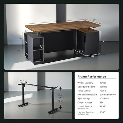 71" Standing Executive Desk with Privacy Panel, Large One-Piece Electric Height Adjustable Stand Up Desk with Charging Station, File Cabinet Storage, Home and Office, Black Walnut