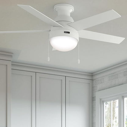 Hunter Fan 46 inch Contemporary Ceiling Fan with Light in Premier Bronze (Renewed) (Fresh White)