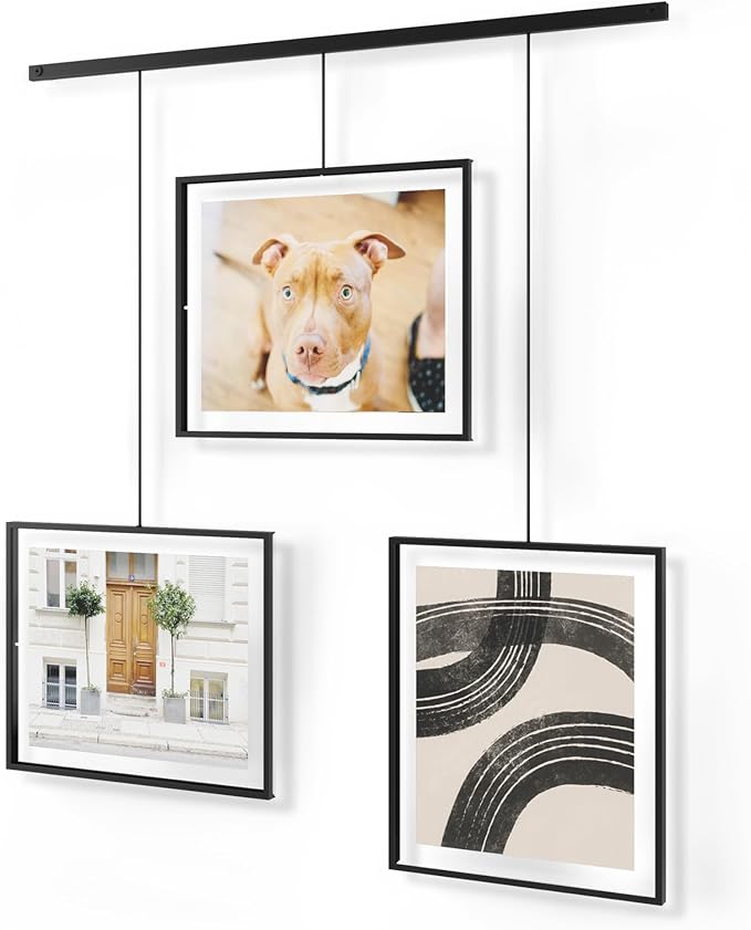 Umbra Exhibit Wall Frame with Metal Rod for Hanging-Rimless Design-Suitable for Living Room, Bathroom, Bedroom, Entryway and More, Black