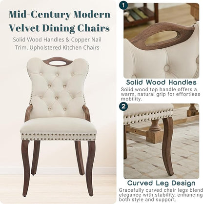 Velvet Dining Chairs Set of 2, Solid Wood Handles, Wooden Upholstered Dining Chair, Vintage Copper Nail Decoration, Mid Century Modern Kitchen Chair (Beige, Set of 2)