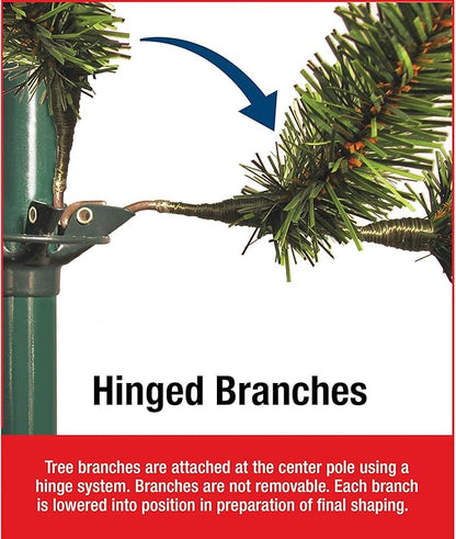 National Tree Company Artificial Pre-Lit Slim Christmas Tree, Green, Kingswood Fir, Multicolor Lights, Includes Stand, 7.5 Feet