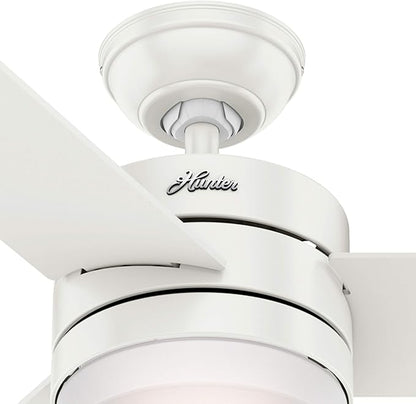 Hunter Fan 54 inch Contemporary Fresh White Indoor Ceiling Fan with Light Kit and Remote Control (Renewed)