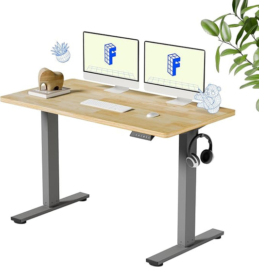 FLEXISPOT EN1 One-Piece Solid Wooden Standing Desk 48 x 24 Inches Height Adjustable Electric Sit Stand Home Office Desks (Silver Frame + Rubber Wood Top, 2 Packages)