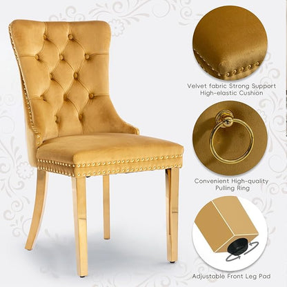 Velvet Upholstered Dining Chairs Set of 4, Modern Style Kitchen Side Chairs with Nailhead Trim and Gold Plated Leg, Metal Pulling Ring for Dining Room Living Room(Gold-Gold Plated Leg)
