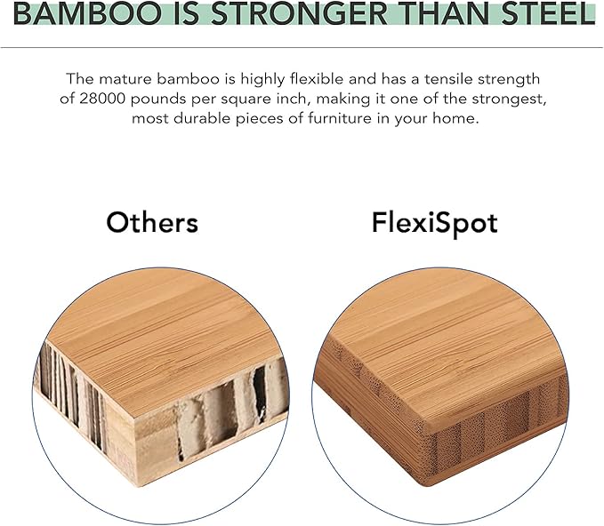 Pro Bamboo 3 Stages Dual Motor Electric Standing Desk 48x24 Inches Whole-Piece Desk Board Height Adjustable Desk Electric Stand Up Desk Sit Stand Desk(Black Frame + Bamboo Desktop)