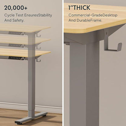 FLEXISPOT EN1 One-Piece Height Adjustable Desk 48 x 30 inch Electric Standing Desk for Home Office (Silver Frame + 48" Natural Top, 2 Packages)