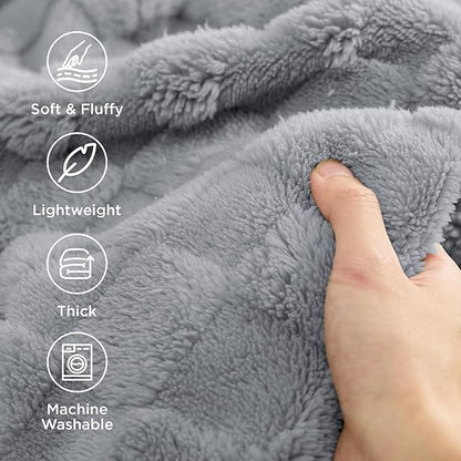 Bedsure GentleSoft Twin Blanket for Bed Silver Grey - Super Soft Cozy Blankets for Women Men Girls, Cute Fuzzy Fleece Throws for Bedroom Couch, 60x80 Inches