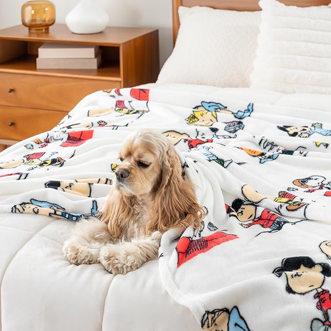 Berkshire Blanket Peanuts® VelvetLoft® Cute Character Snoopy Plush Blanket,Peanuts Stripe Multi,King 90 in x 108 in (Official Peanuts® Product)