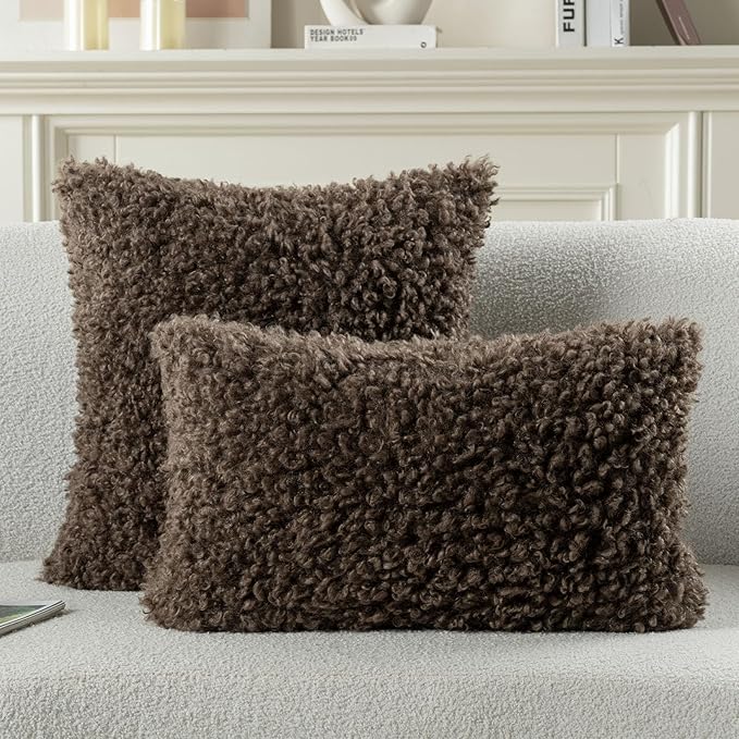 FUTEI Chocolate Decorative Throw Pillow Covers 16x16 Inch Set of 2,Soft Fluffy Faux Wool Fur Boucle Textured Cushion Case,Modern Home Decor for Couch Bed Living Room Office