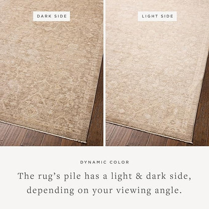 Loloi Chris Loves Julia Palma Collection PLM-01 Bark/Natural 2'-7" x 12'-0" Runner Rug Vintage Style Boho Living Room Bedroom Carpet