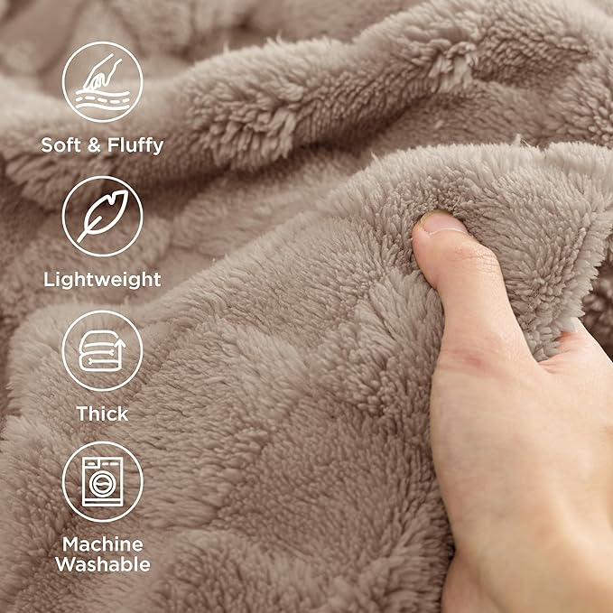 Bedsure GentleSoft Blankets Queen Size for Bed - Super Soft Cozy Blanket for Women Men Girls, Large Fuzzy Fleece Throw for Bedroom Decor, Light Taupe, 90x90 Inches