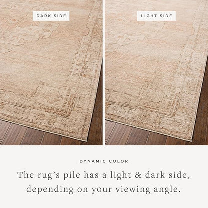 Loloi Chris Loves Julia Palma Collection PLM-02 Spice/Natural 6'-3" x 9'-6" Area Rug Vintage Style Boho Living Room Bedroom Carpet