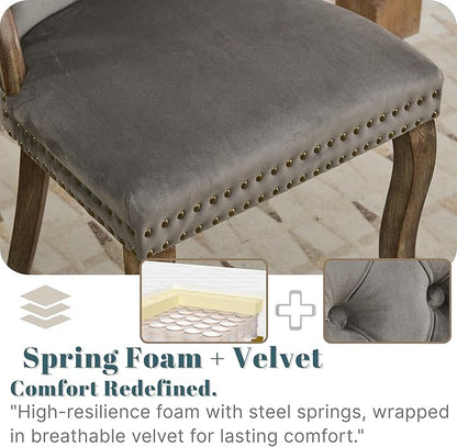 Velvet Dining Chairs Set of 2, Solid Wood Handles, Wooden Upholstered Dining Chair, Vintage Copper Nail Decoration, Mid Century Modern Kitchen Chair (Grey, Set of 2)