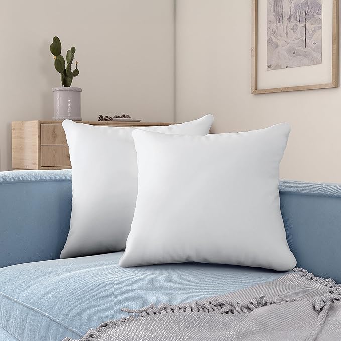 Acanva 22x22 Throw Pillow Inserts Set of 2, Premium Polyester Fiber Fill Square Sham Stuffer Cushion for Sofa, Bed, Couch and Chair, Machine Washable, 22x22 Inch(for 20x20 Cover), White 2 Count