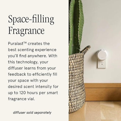 Pura & Brooklyn Candle Studio Home Scent Refill - Smart Home Air Diffuser - Up to 120-Hours of Luxury Fragrance per Refill - Home Essential - Clean & Safe Diffuser Fragrance - 2 Pack, Santa Fe