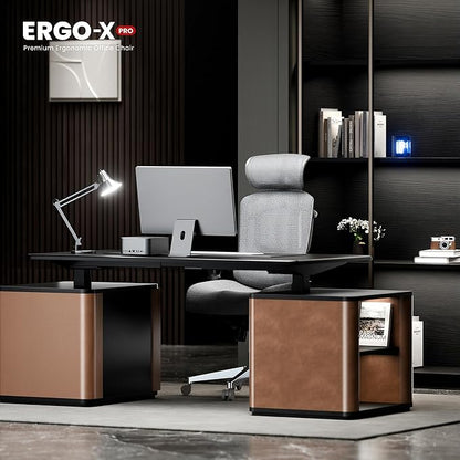 FLEXISPOT ErgoX-PRO Ergonomic Office Chair Black – Cloudtech Cushion, 5D Lumbar, 7D Armrests, 4D Headrest, 551LBS Capacity – Office, Gaming, Home