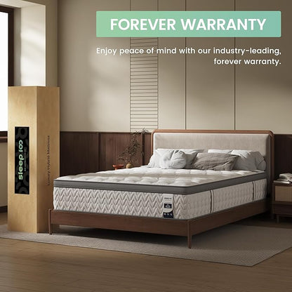 Twin Mattress 12 Inch – Hybrid Mattresses for Back Pain, Extra Lumbar & Shoulder Support, Fiberglass-Free & No Odor, 365-Night Trial