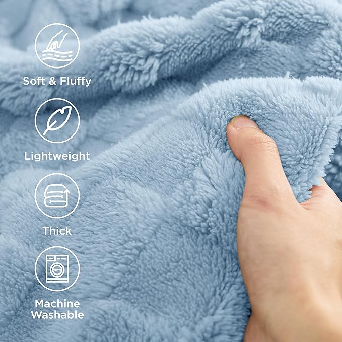 Bedsure GentleSoft Blankets Queen Size for Bed - Super Soft Cozy Blanket for Women Men Girls, Large Fuzzy Fleece Throw for Bedroom Decor, Light Blue, 90x90 Inches