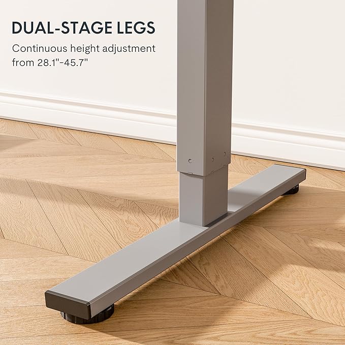 FLEXISPOT EN1 One-Piece Electric Standing Desk 48 x 24 Inches Seamless Seamless Desktop Height Adjustable Desk Stand Up Desks for Home Office (Silver Frame + Black Top, 2 Packages)