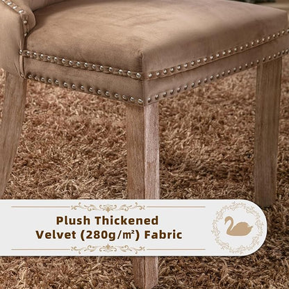 Velvet Upholstered Dining Chairs Set of 2, Modern Style Kitchen Side Chairs with Nailhead Trim and Wood Legs,Metal Pulling Ring for Dining Room Living Room(Khaki)