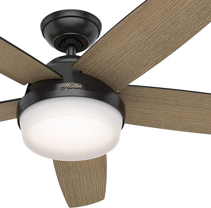 Hunter Fan 52 inch Contemporary Matte Black Indoor Ceiling Fan with Light Kit and Remote Control (Renewed)