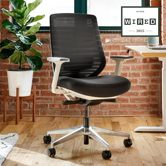 Branch Ergonomic Chair - A Versatile Desk Chair with Adjustable Lumbar Support, Breathable Mesh Backrest, and Smooth Wheels - Experience Optimal Comfort and Support - Black