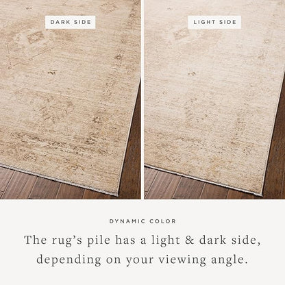Loloi Chris Loves Julia Palma Collection PLM-06 Natural/Smoke 6'-3" x 9'-6" Fringe Area Rug Vintage Style Boho Living Room Bedroom Carpet